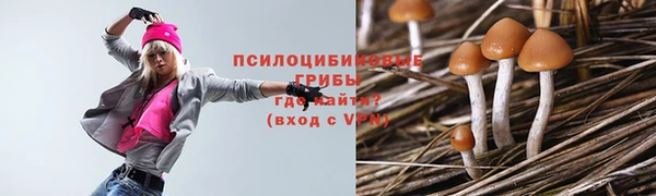 скорость Абаза
