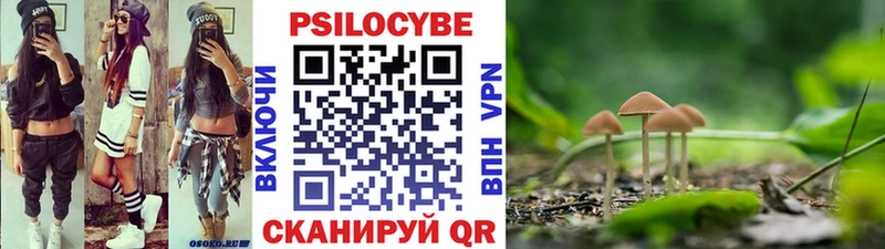 Псилоцибиновые грибы прущие грибы наркота Туран